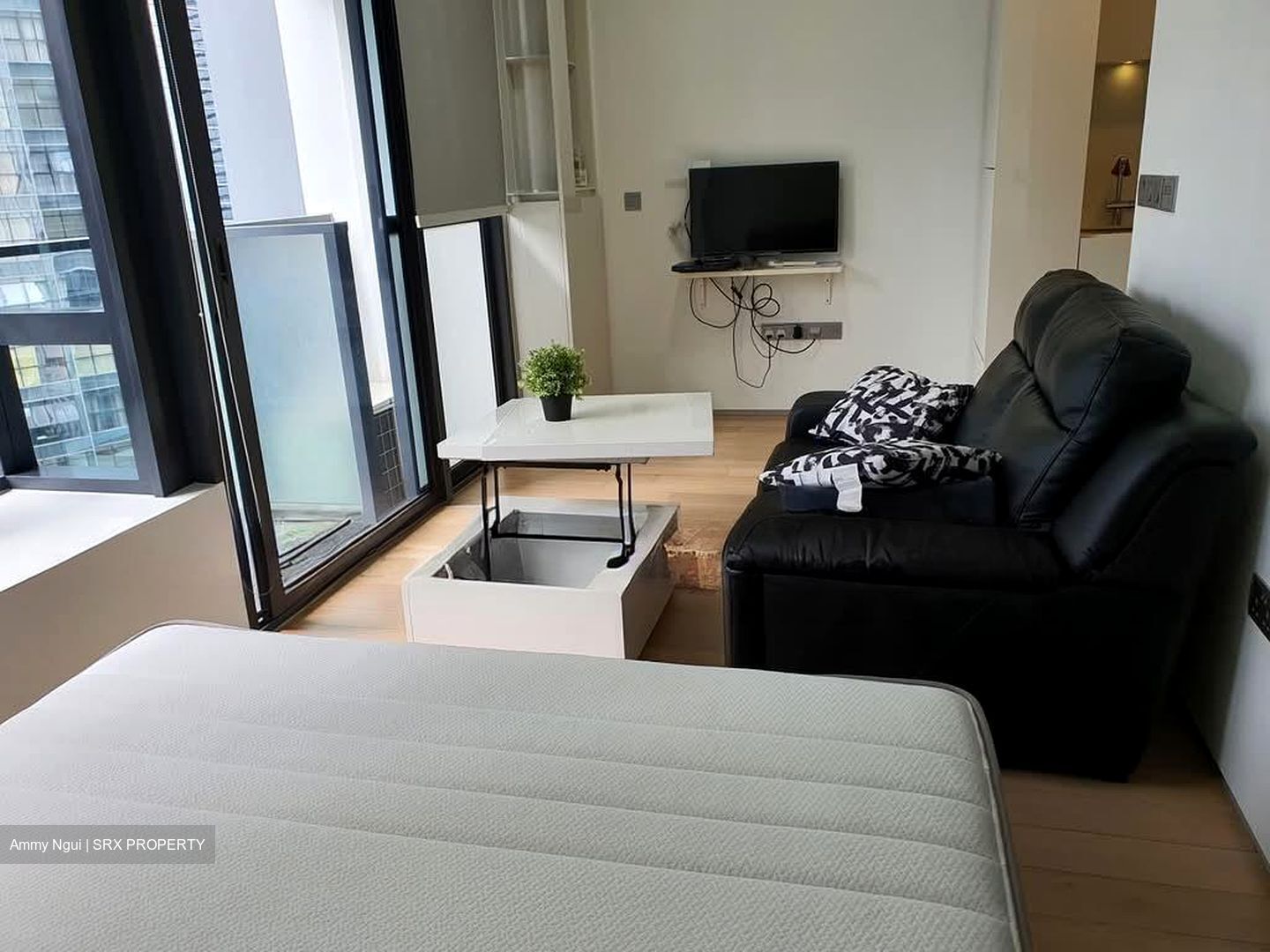 Skysuites@Anson (D2), Apartment #588776221